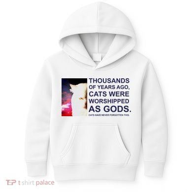 Funny Cat Kids Hoodie