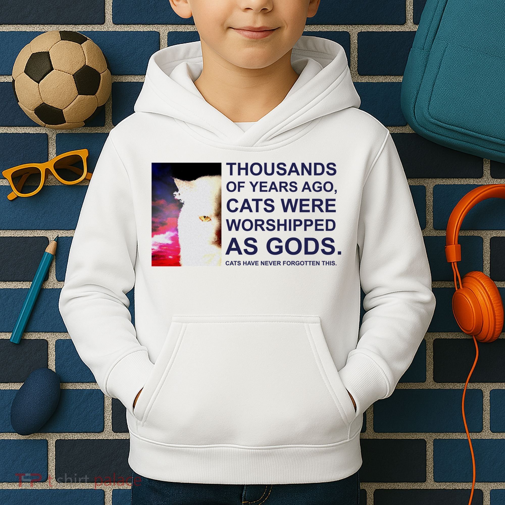 Funny Cat Kids Hoodie