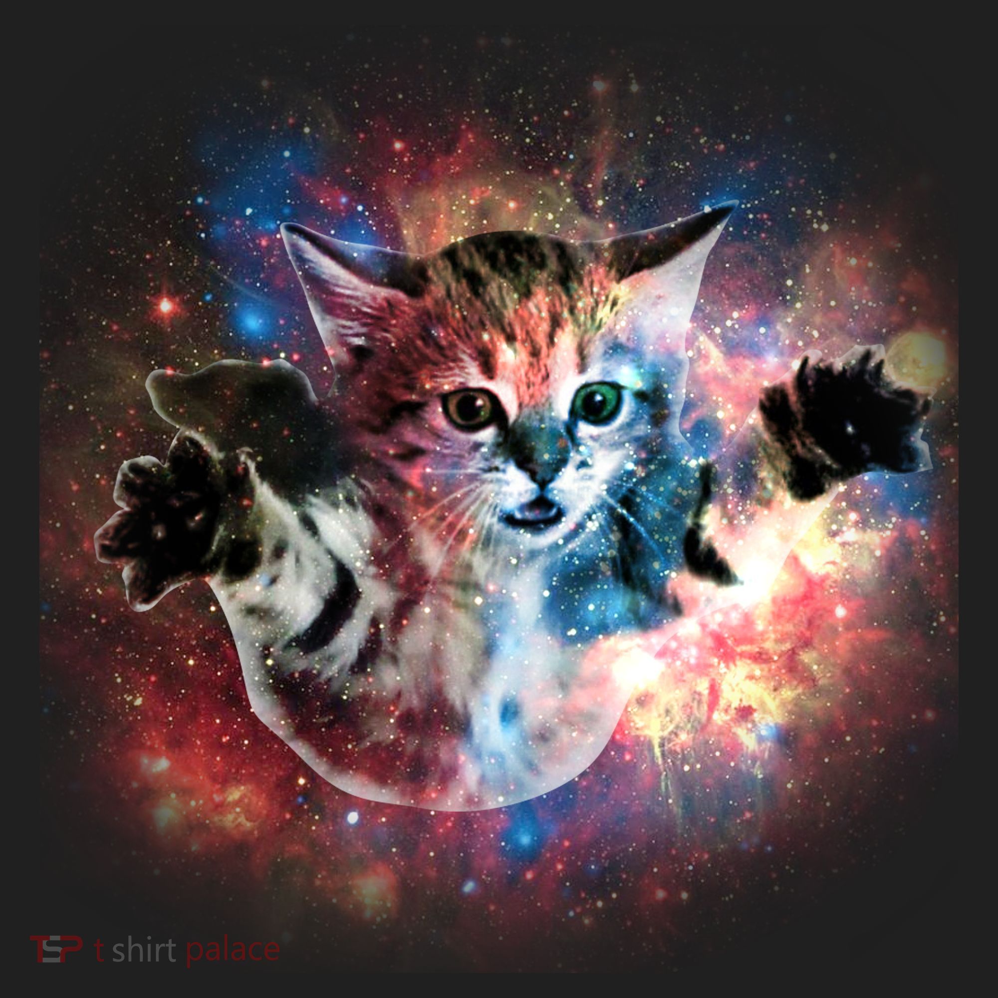 Funny Cat Floating In Space Hat