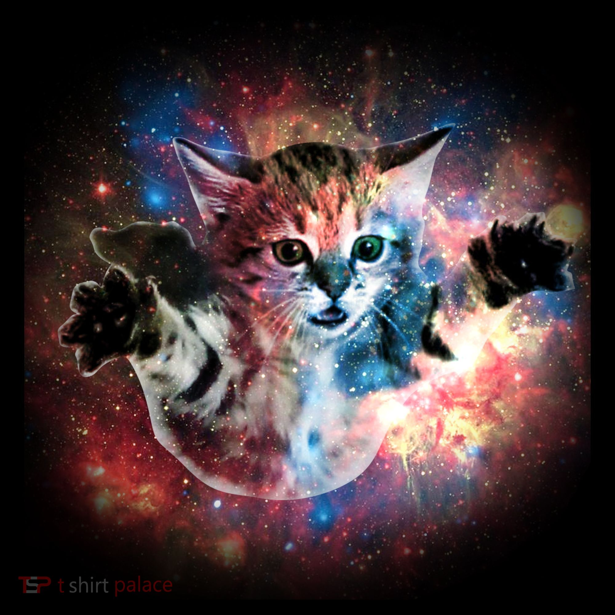 Funny Cat Floating In Space Women's T-Shirt