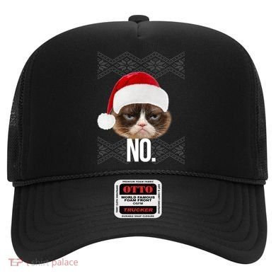 Funny Cat NO Meme Ugly Christmas Sweater Hat