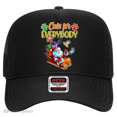 Funny Christmas Cats For Everyone Santa Claus Hat