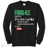 Funny Christmas Fragile Definition  Sweatshirt thumb 0