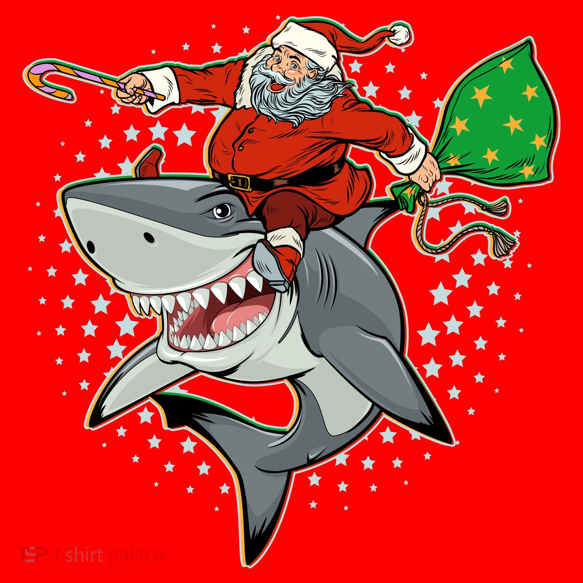 Funny Christmas Santa Riding Shark Santa Hat