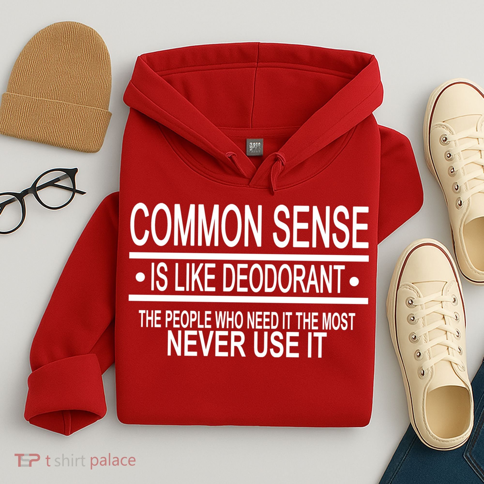 Funny Common Sense Sarcastic Meme Hoodie