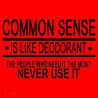 Funny Common Sense Sarcastic Meme Santa Hat thumb 1