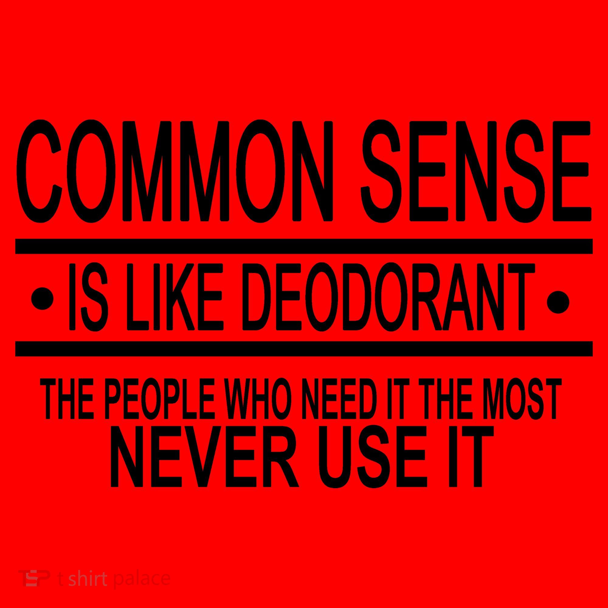 Funny Common Sense Sarcastic Meme Santa Hat