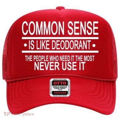 Funny Common Sense Sarcastic Meme Hat