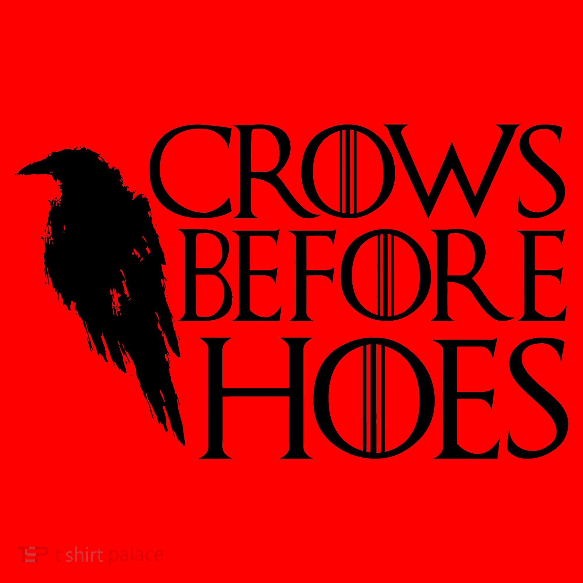 Funny Crows Before Hoes Santa Hat