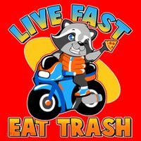 Funny Cute Live Fast Eat Trash Motorcycle Raccoon Santa Hat thumb 1