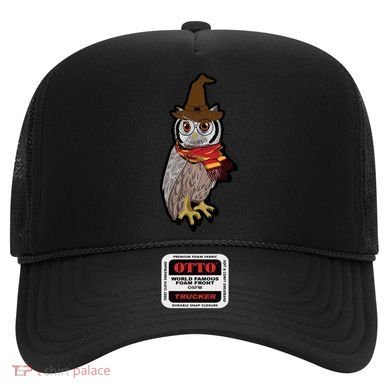 Funny Cute Owl Halloween Hat