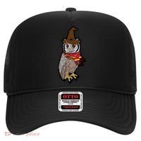 Funny Cute Owl Halloween Hat thumb 0