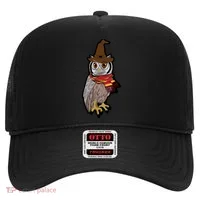 Funny Cute Owl Halloween Hat thumb 0