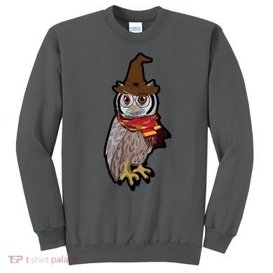 Funny Cute Owl Halloween Sweatshirt