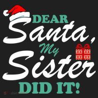 Funny Dear Santa My Sister Did It Beanie thumb 2