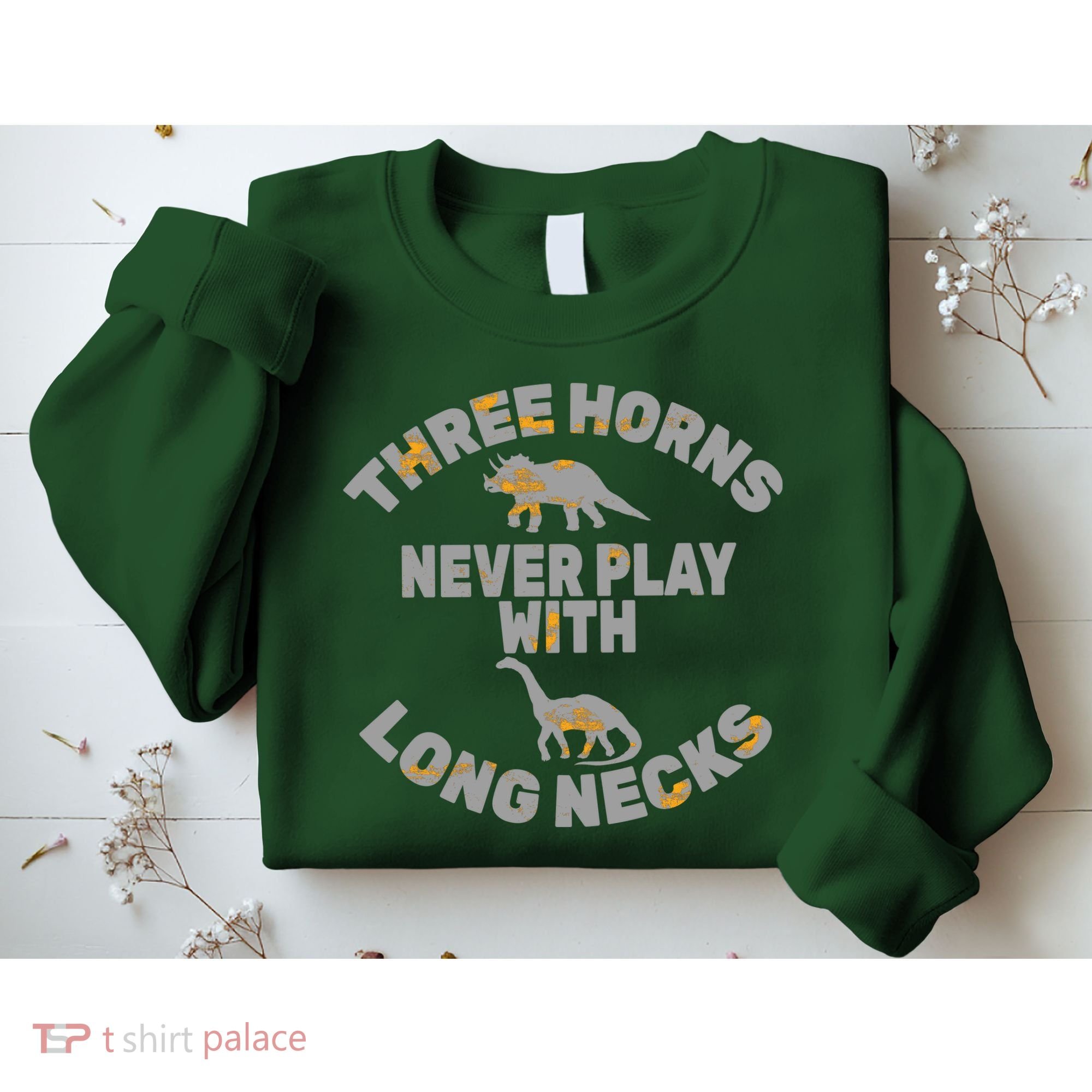 Funny Dinosaur Sweatshirt