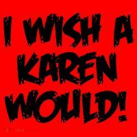 Funny Distressed I Wish A Karen Would  Santa Hat thumb 1