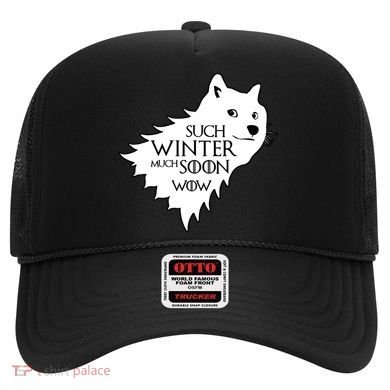 Funny Doge Such Winter Much Soon Hat