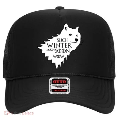 Funny Doge Such Winter Much Soon Hat