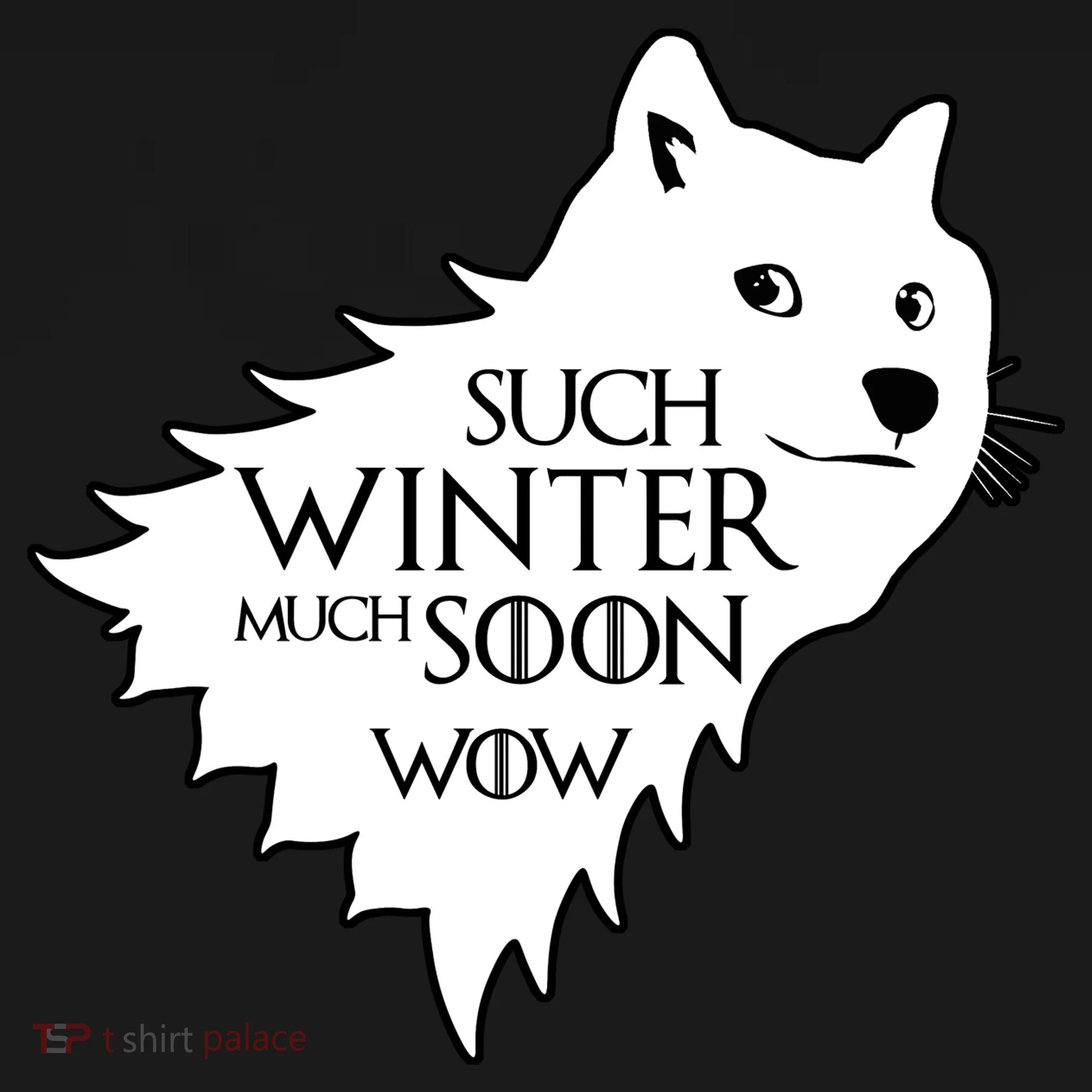 Funny Doge Such Winter Much Soon Kids T-Shirt