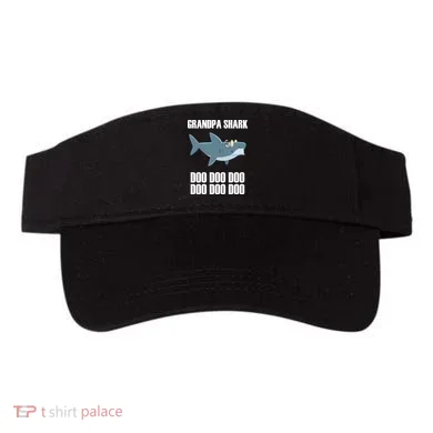 Visor
