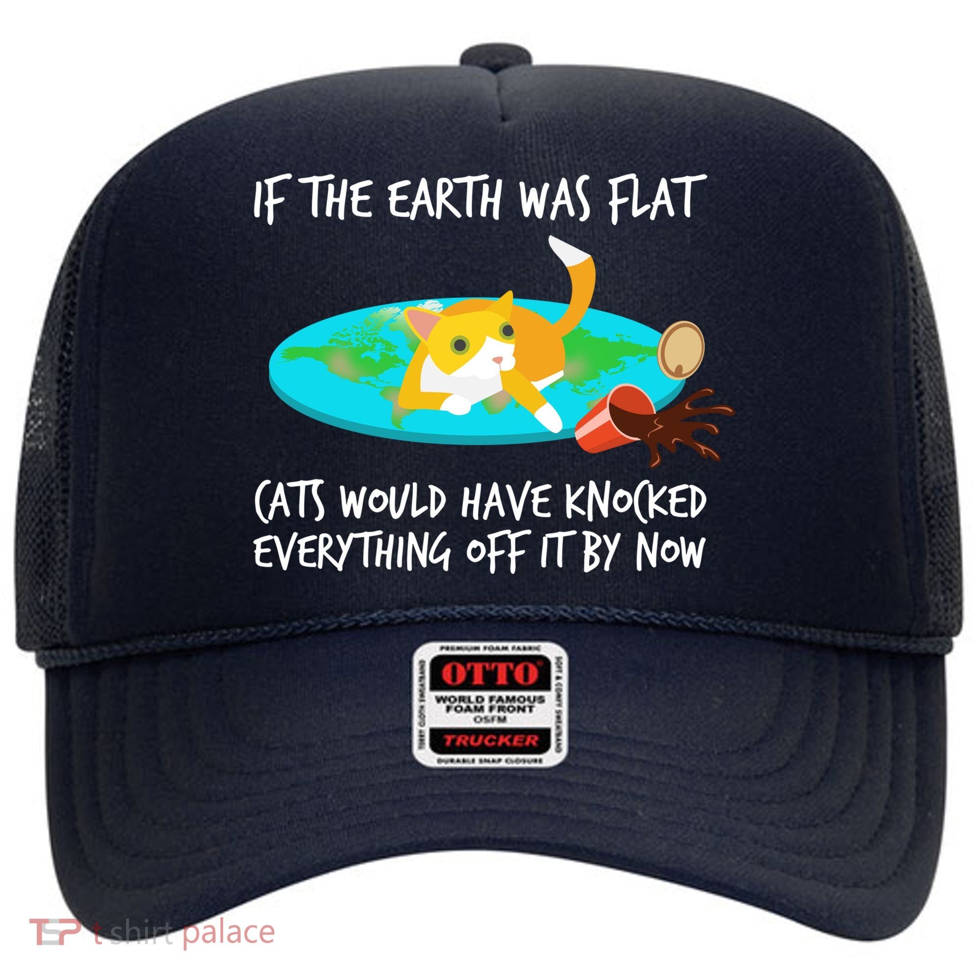Funny Earth Cat Hat