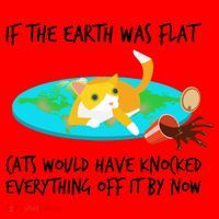 Funny Earth Cat Santa Hat thumb 1