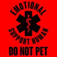 Funny Emotional Support Human Do No Pet Santa Hat thumb 1
