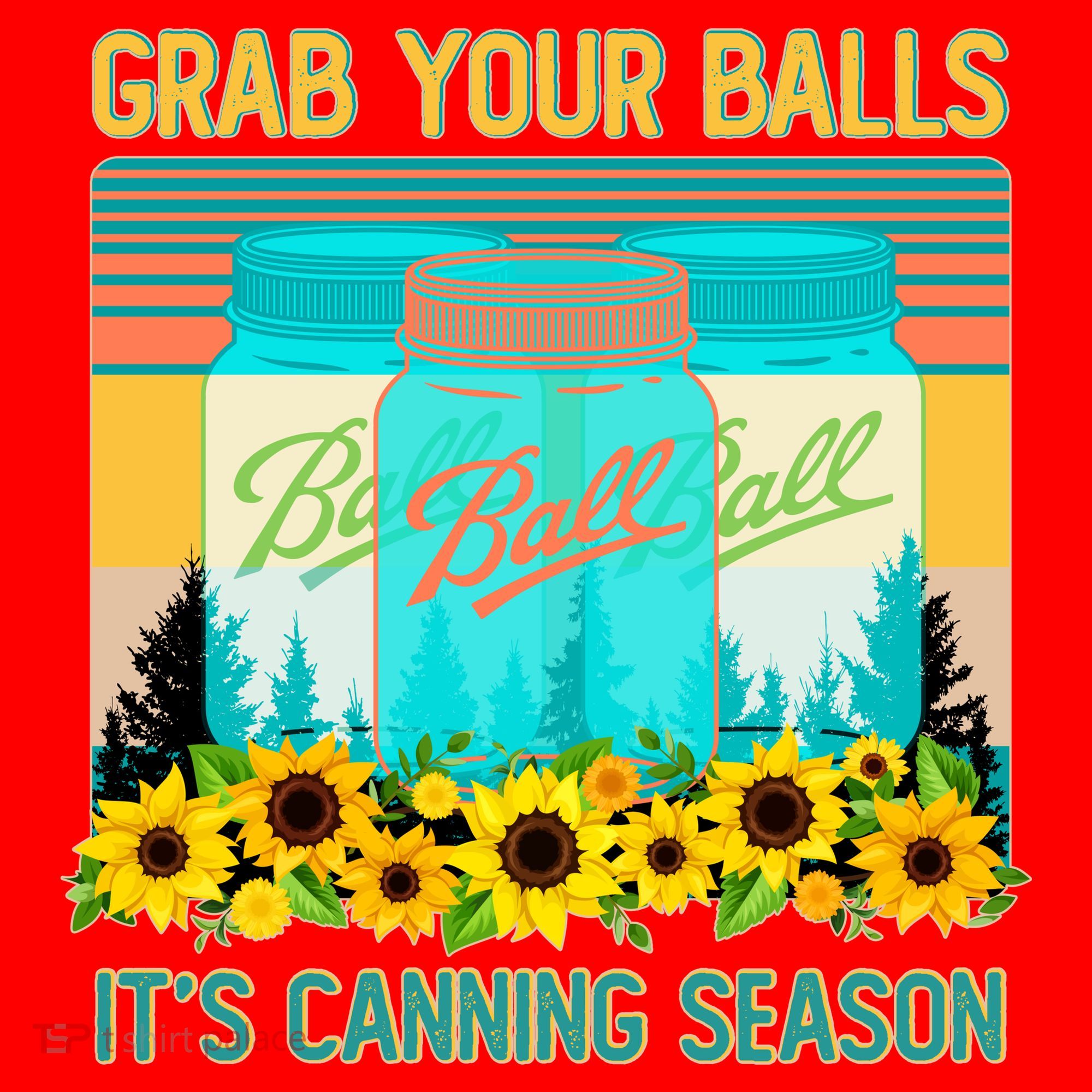 Funny Grab Your Balls It's Canning Season Santa Hat