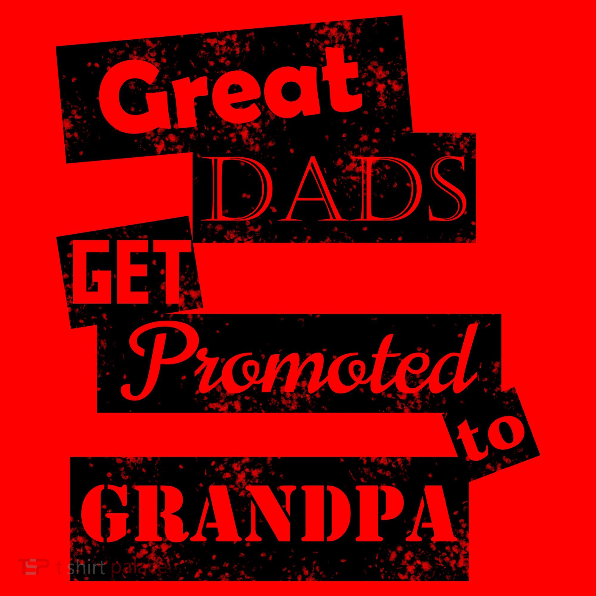 Funny Great Dads Get Promoted To Grandpa Santa Hat