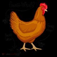Funny Guess What Chicken Butt ggg Coffee Mug thumb 5