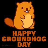 Funny Happy Groundhog Day  Women's T-Shirt thumb 6