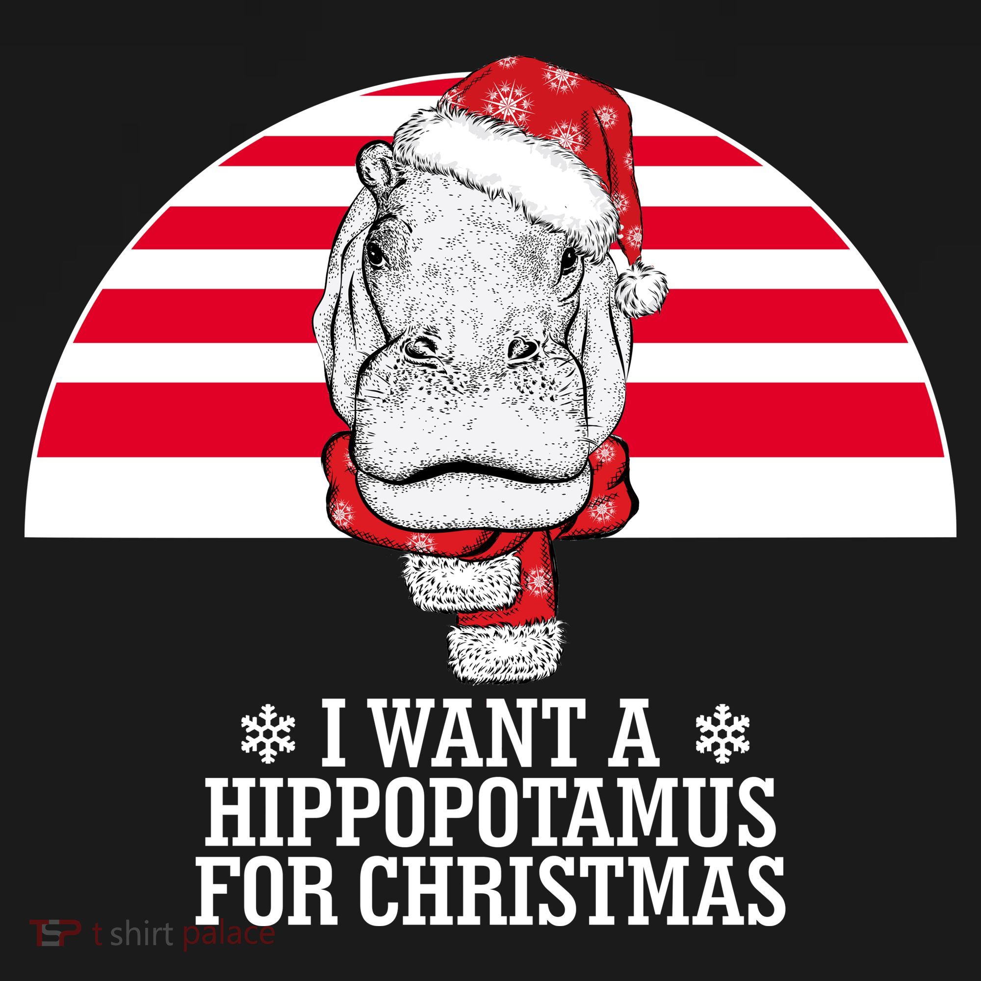 Funny Hippo I Want A Hippopotamus For Christmas Women's Hoodie