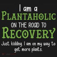 Funny I Am A Plantaholic On the Road To Recovery Women's Hoodie thumb 2