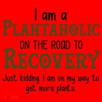 Funny I Am A Plantaholic On the Road To Recovery Santa Hat thumb 1