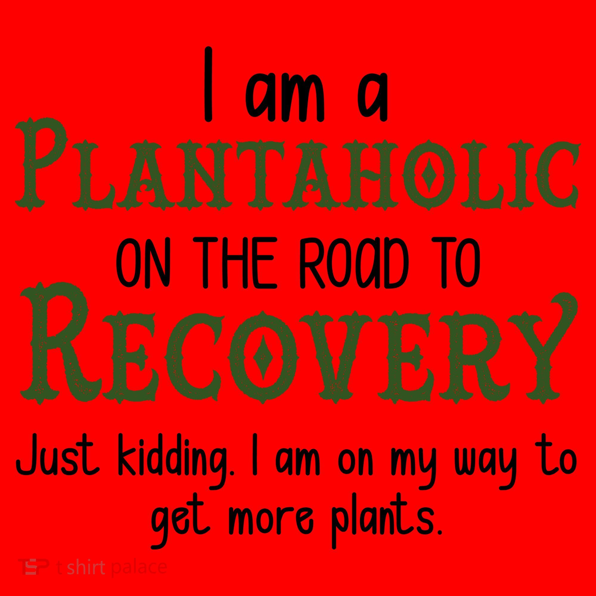 Funny I Am A Plantaholic On the Road To Recovery Santa Hat