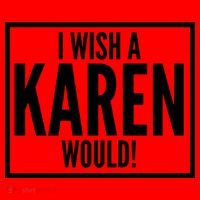 Funny I Wish A Karen Would Meme Santa Hat thumb 1