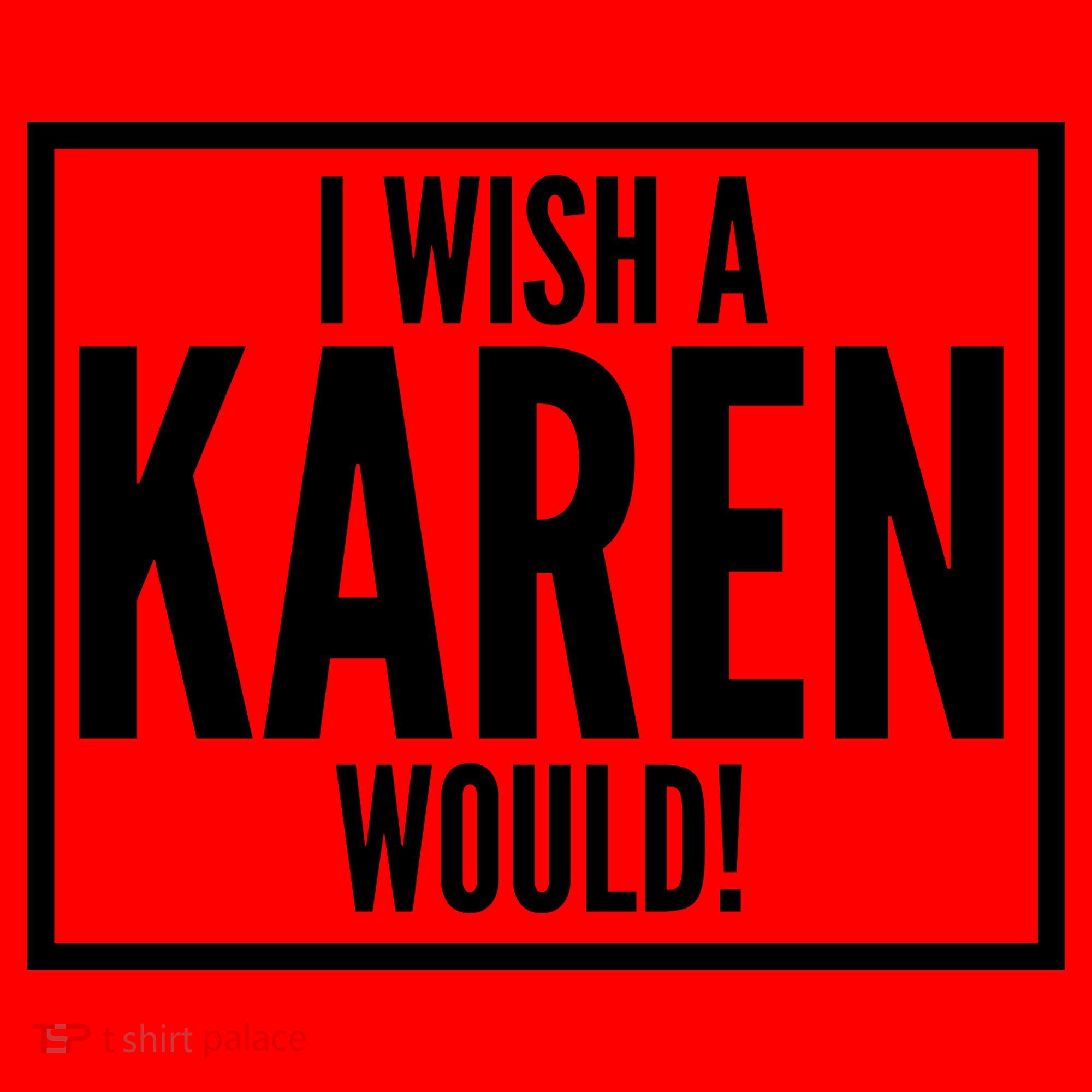 Funny I Wish A Karen Would Meme Santa Hat