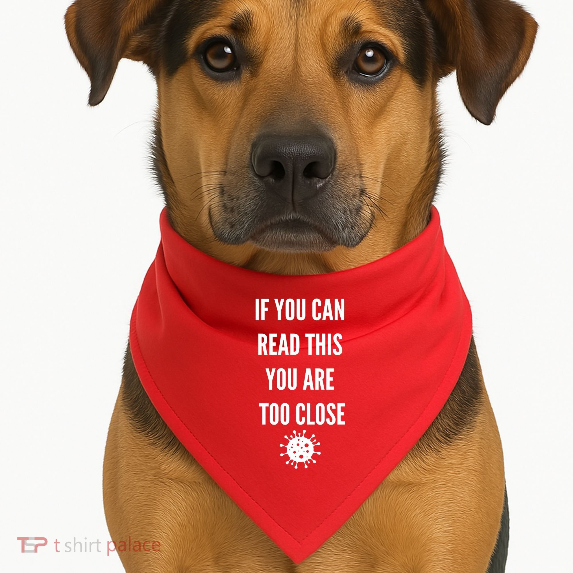 Funny If You Can Read This You Are Too Close USA-Made Doggie Bandana