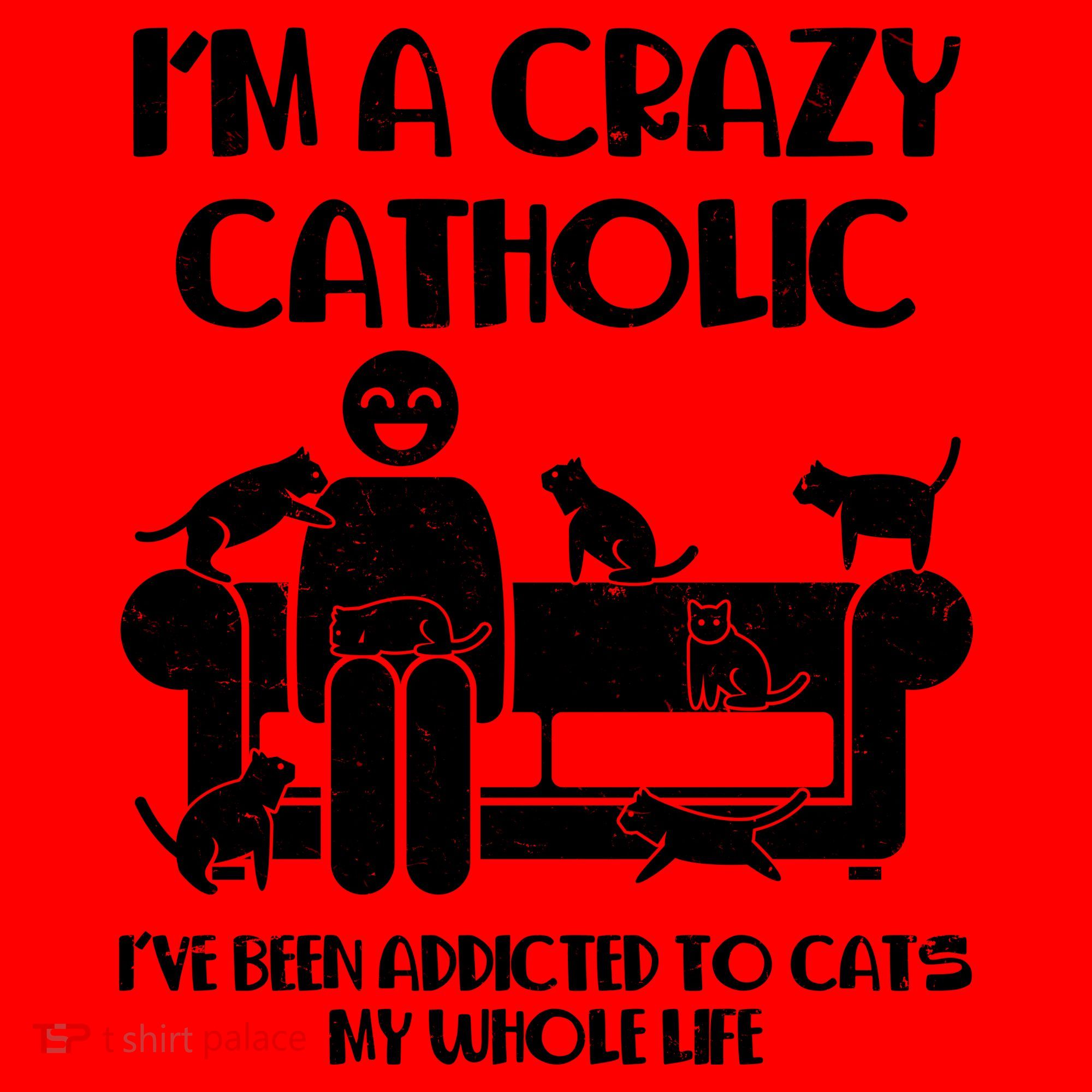 Funny I'm A Crazy Catholic Addicted To Cats Santa Hat