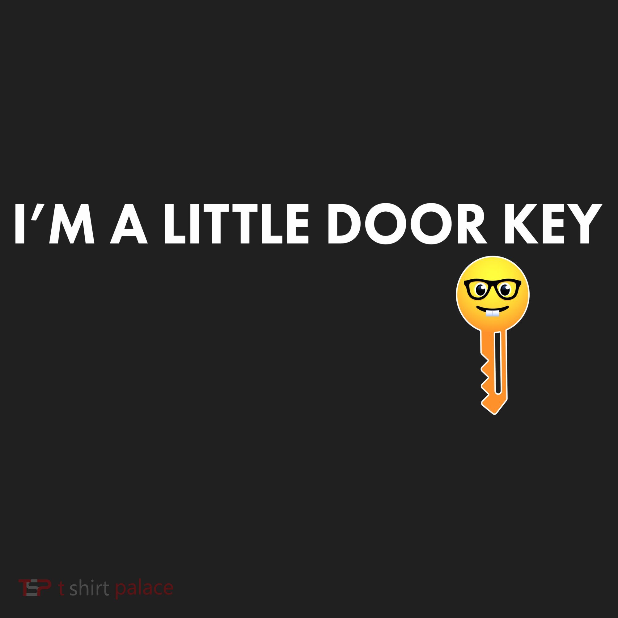 Funny I'm A Little Door Key Hat