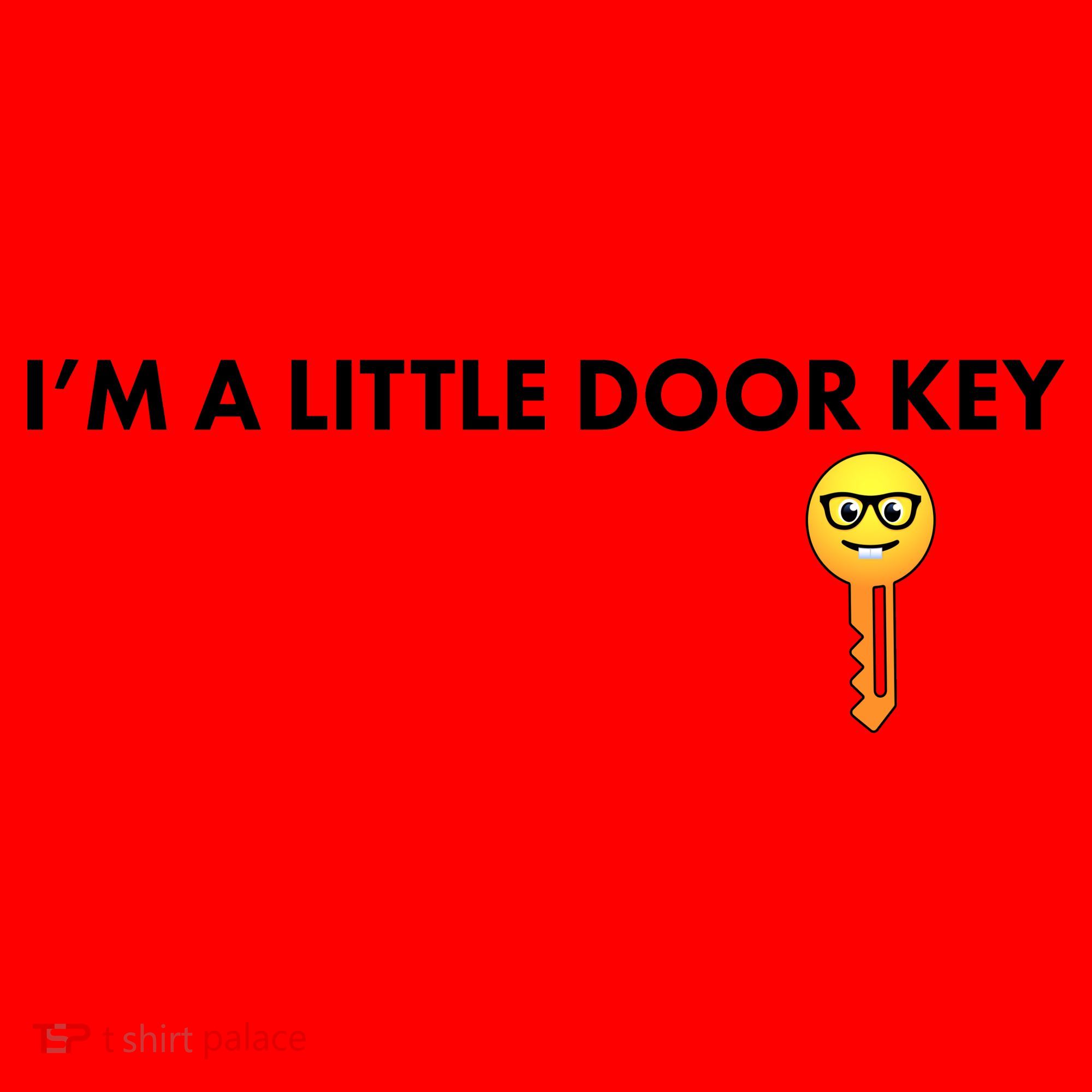 Funny I'm A Little Door Key Santa Hat