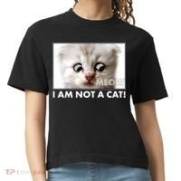 Funny I'm Not A Cat Zoom Lawyer Cat Meme Comfort Colors Boxy T-Shirt thumb 0