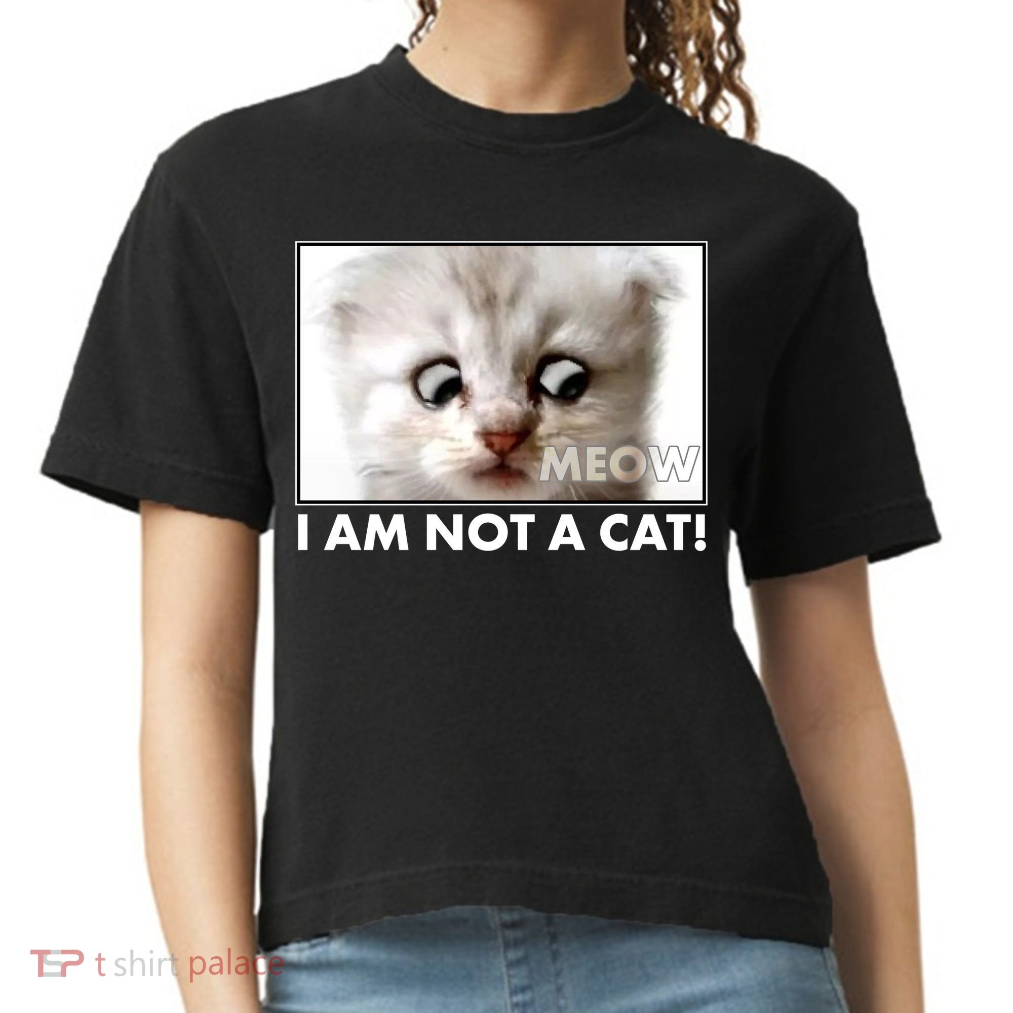 Funny I'm Not A Cat Zoom Lawyer Cat Meme Comfort Colors Boxy T-Shirt