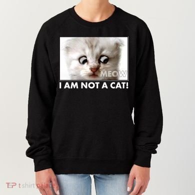 Funny I'm Not A Cat Zoom Lawyer Cat Meme Women's Sweatshirt