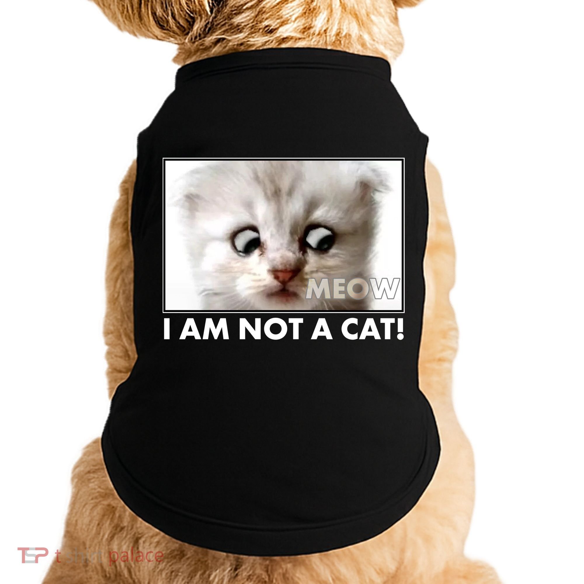 Funny I'm Not A Cat Zoom Lawyer Cat Meme Doggie Tank