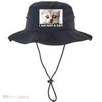 Funny I'm Not A Cat Zoom Lawyer Cat Meme Bucket Hat thumb 0