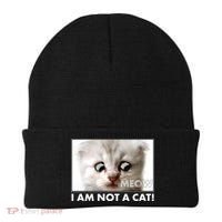 Funny I'm Not A Cat Zoom Lawyer Cat Meme Beanie thumb 0