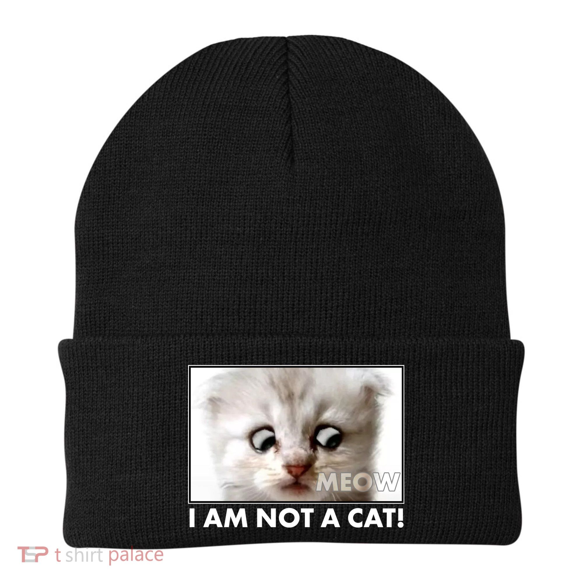 Funny I'm Not A Cat Zoom Lawyer Cat Meme Beanie