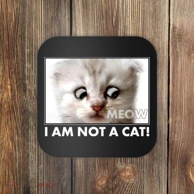 Funny I'm Not A Cat Zoom Lawyer Cat Meme Coaster